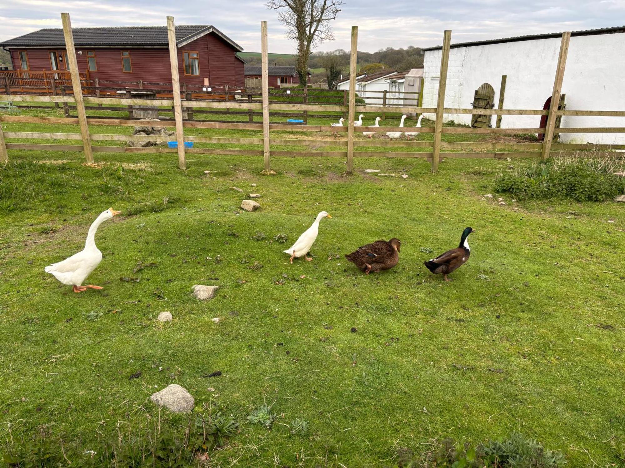 Two Bedroom Holiday Home With Countryside View St Austell Exteriör bild